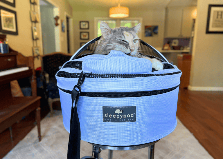 cat in white Sleepypod Mobile Pet Bed